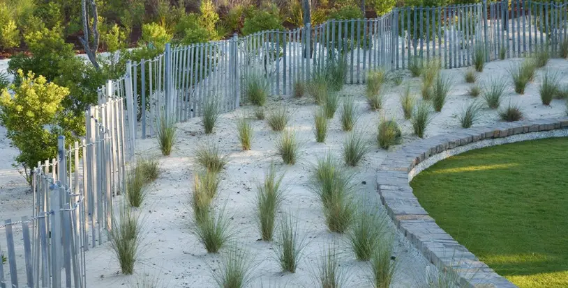 Salt Tolerant Plant Tips